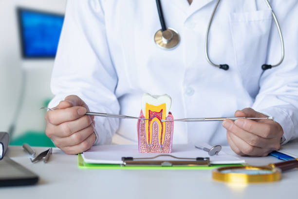 Best Same-Day Emergency Dental Services in Elberton, GA